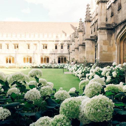 softradical:floralls:Magdalen College, Oxfordby  driabchenko@deerkin !!!