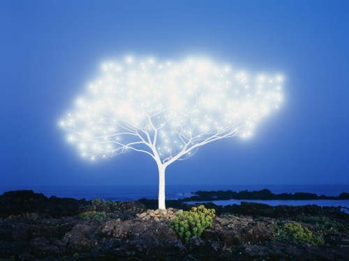 nickelsonwooster:Light.archatlas:Lee Jeong Lok The Tree of Life series began in the winter of 2006. 