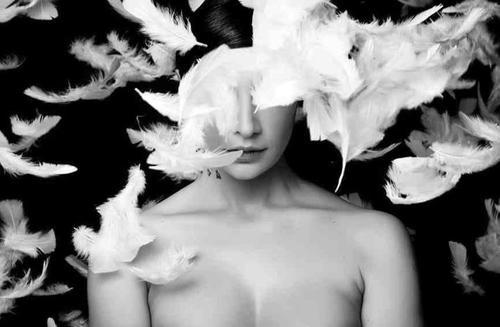noirsvanityfair: Love saidyou already haveyour own wingsI will not give you more feathers. — Rumi 