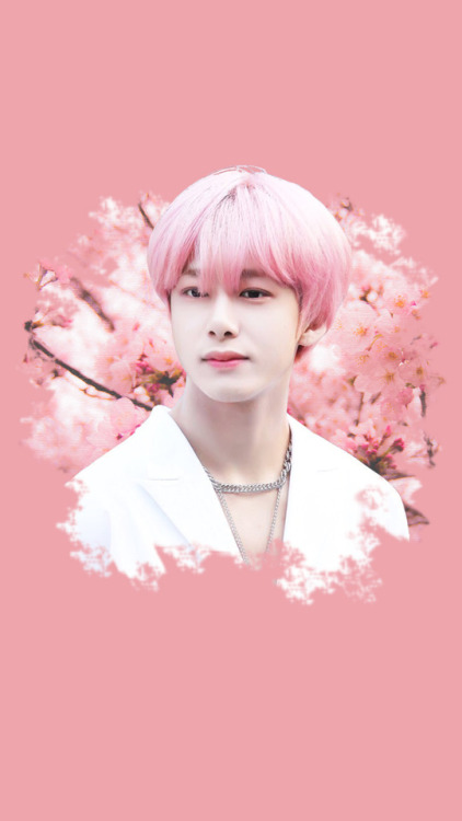 Sakura Hyungwon Wallpaper Photo Cr: Wonbebe