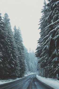 ilaurens:  endless snowy road - By: (Analog