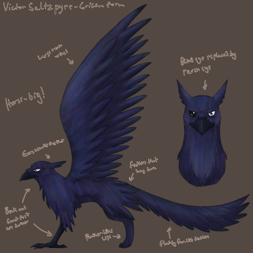 made a quick reference image of Salty’s griffon form for my fic