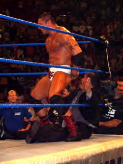rwfan11:  Batista - gives stinkface to ring