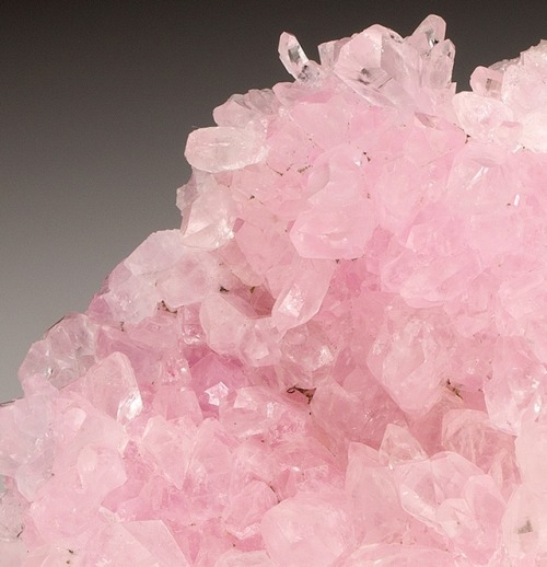 bijoux-et-mineraux:Rose Quartz on Quartz matrix - Ilha claim, Taquaral, Itinga, Minas Gerais, Brazil