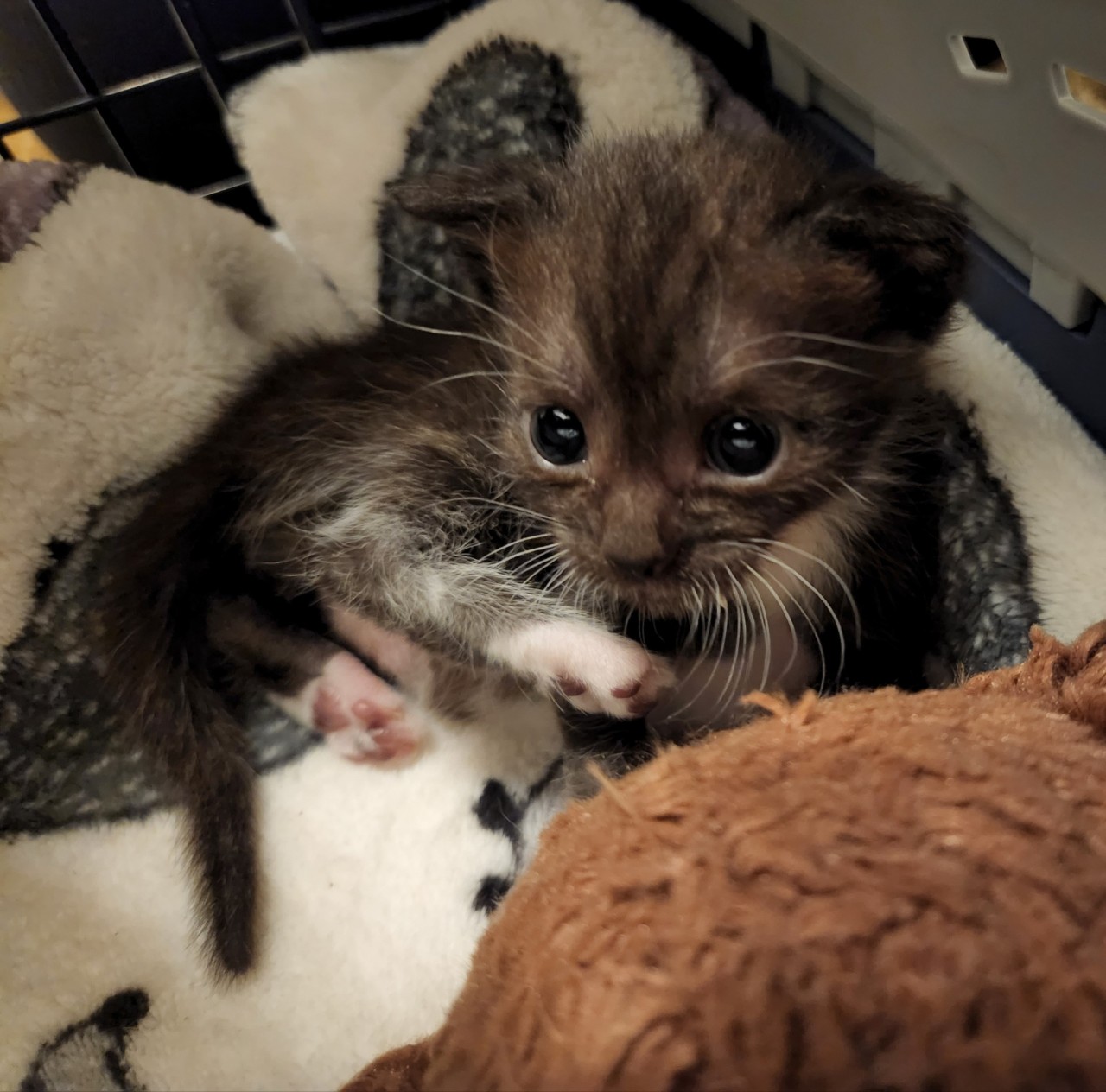 talesfromtreatment:Peppercorn&hellip;. what is that expression&hellip;.I