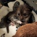 talesfromtreatment:Peppercorn&hellip;. what is that expression&hellip;.I