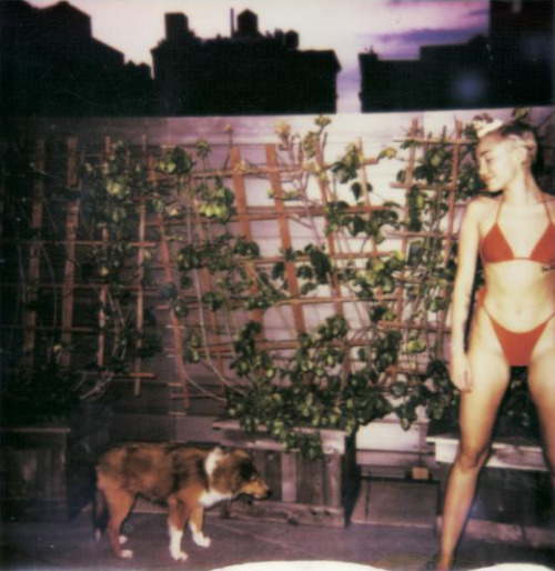 Porn Pics Miley Cyrus polaroids for V Magazine (Spring