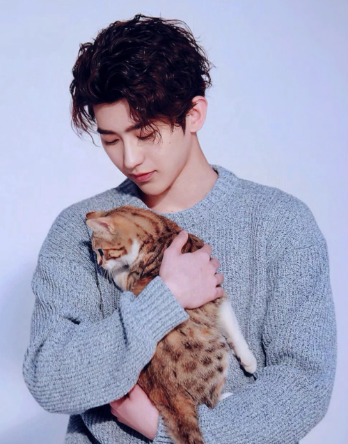 Cai Xukun｜ ft. 