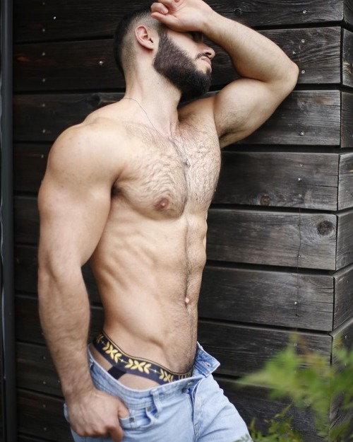 thefurryforest:  