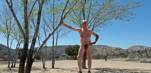 jackaloyed: Naked in the desert