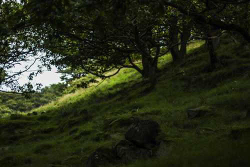 garettphotography:August 28th, 2017 - Todmorden, West Yorkshire | GarettPhotography