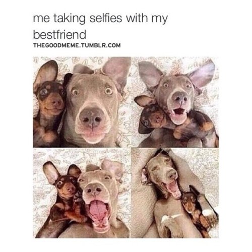kushandwizdom:  Teen quotes 