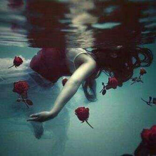 whocaresanywayright:  . on We Heart It. 