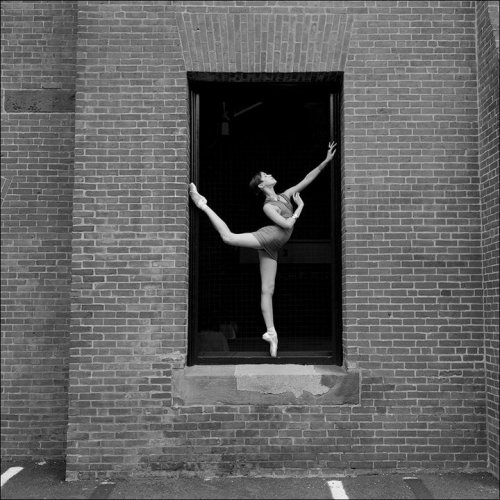 digbicks:   The Ballerina Project, Dane Shitagi  