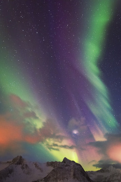 sitoutside:  Northern Lights by David Greyo