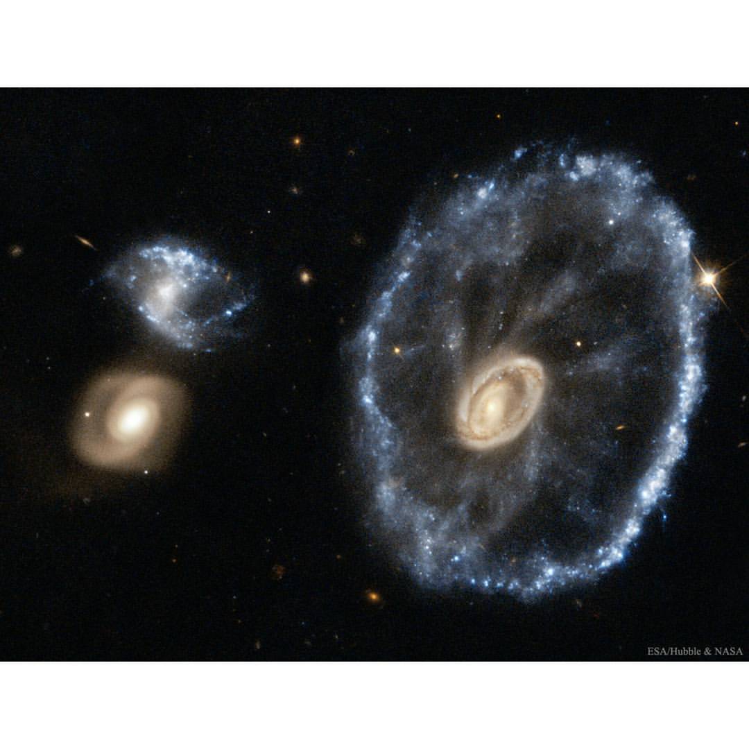 The Cartwheel Galaxy from Hubble #nasa #apod #esa #hubble #cartwheelgalaxy #galaxy