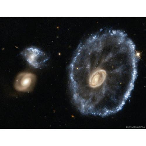 Porn photo The Cartwheel Galaxy from Hubble #nasa #apod