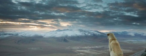 viraldiario:  Hasta que no veas las 37 vistas más impresionantes de la Tierra no habrás vivido plenamente → http://www.viraldiario.com/vistas-impresionantes/