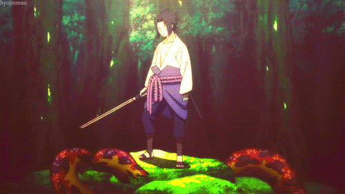 The Naruto Fandom.