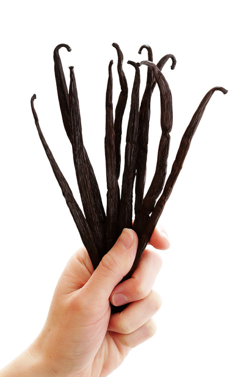 foodffs: HOW TO MAKE HOMEMADE VANILLA EXTRACT Really nice recipes. Every hour. Show me what you cook