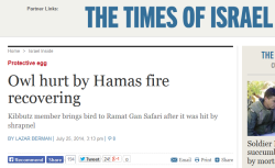 queeniman:  neelathamara:  remango:  empirescollapse:  stay-human:  um-er:  As the number of deaths in Gaza top 1000, The Times of Israel reports about an owl being hurt.  This is it. This is the Israel-Palestine “conflict” from Israel’s perspective.