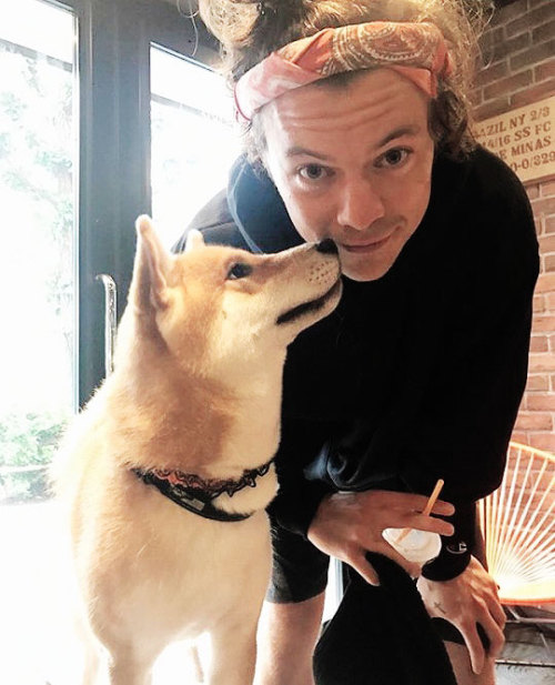harrvlouis:OTP: getting kisses from boyos 