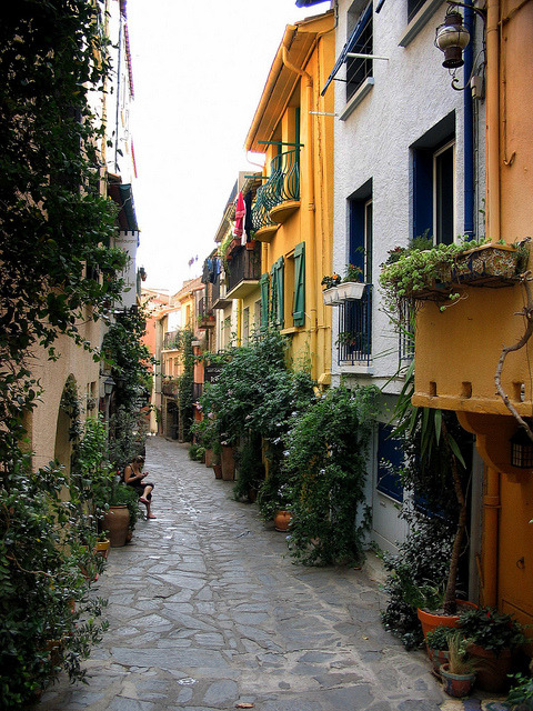 Les charmantes ruelles de Collioure, France (by rockpainting , yvette).