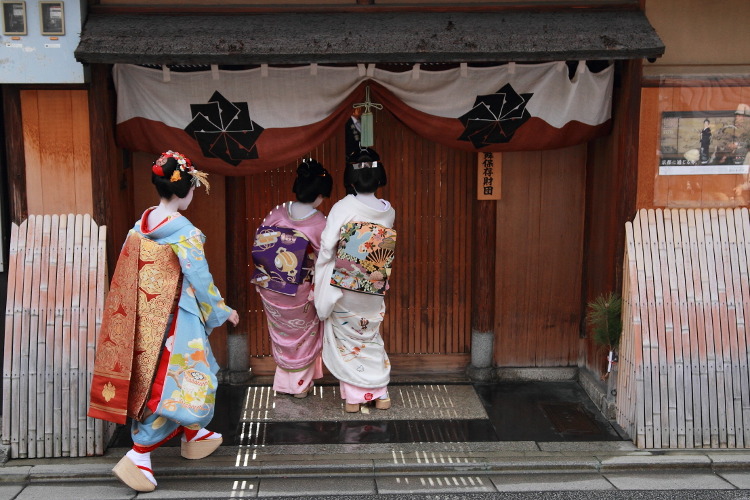 geisha-kai:    Hatsuyori (New Year wishes) 2013: maiko Eriha, geiko Tsuruha and Manaha