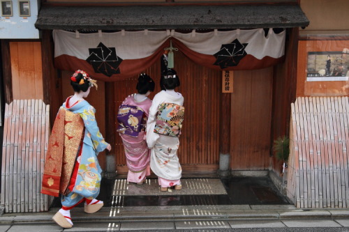 XXX geisha-kai:    Hatsuyori (New Year wishes) photo