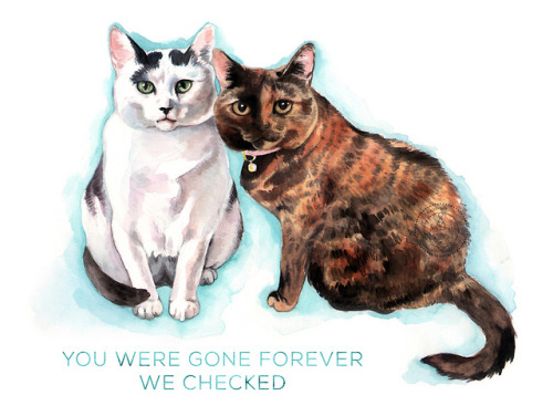 Your cats are keeping tabs on you…