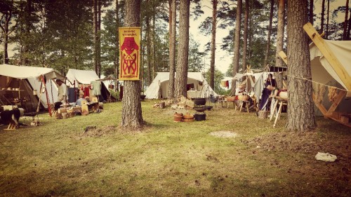 viking reenactment