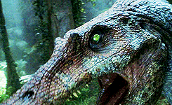 mistakingloveforlaughter:  chrrycola: The 75th Hunger Games, also known as the third