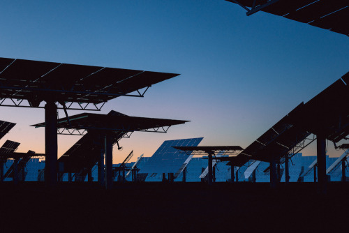 landscape-photo-graphy:Incredible Light Photography Captured At Solar Panel Reserve  Chicago-based photographer Reuben Wu has transformed a solar panel field into a stunning photographic series of sunset and light.  Keep reading