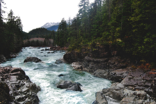 wildlxng:River off the side of the Pacific Rim Highway