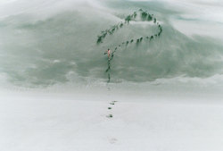 ryanmcginley:  Question Mark, 2007 