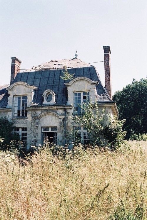 ameronicole: Gorgeous. 