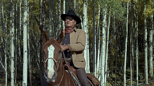 The Original American Bad Asses!