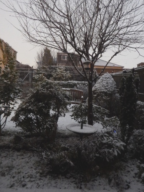 kings2828:Garden in Winter My November Guest My Sorrow, when she&rsquo;s here with me, Thinks th