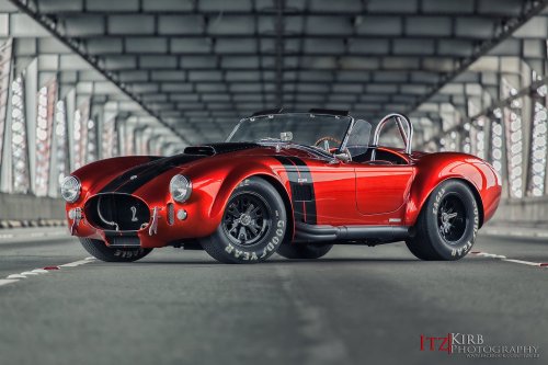 Red Cobra by Itzkirb|Photography.(via Itzkirb|Photography)