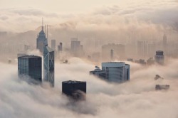 oportunitas:Foggy Hong Kong