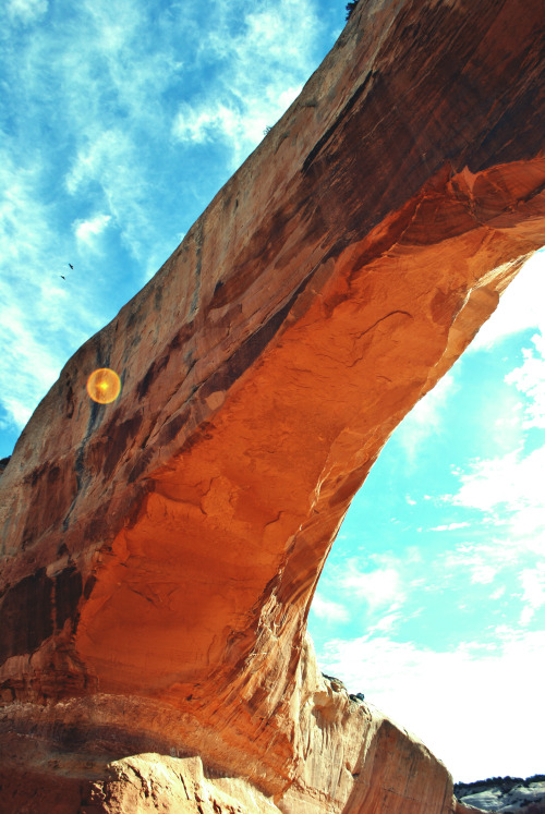 Wilsons Arch, Utah.