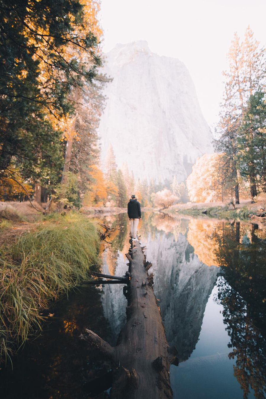 banshy: Exploring the Valley by: Rob Strok 