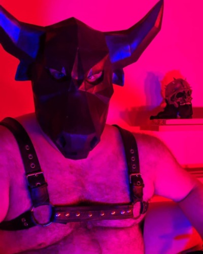 What Is A Bull In Bdsm