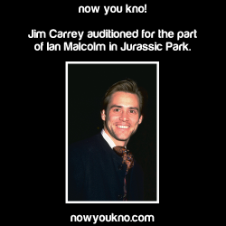 imstillwaitingfortheraintofall:  nowyoukno:  Now You Know More About Jurassic Park. (Source) 21 Things You Might Not Know About Jurassic Park  Still one of my favorite films ever   Hi there
