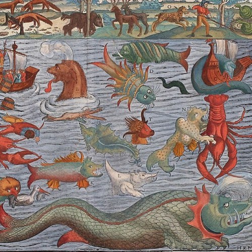 publicdomainreview: Detail from a sea monster chart (ca. 1544) by Sebastian Münster, a German cartog