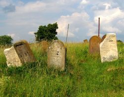 jewishvirtuallibrary:  Remains of a Jewish cemetery in Berezhany, western Ukraine; 2008. x   Before World War II, several thousand Jewish people lived in Berezhany and the city had a rich Jewish life consisting of numerous synagogues and Hebrew schools.