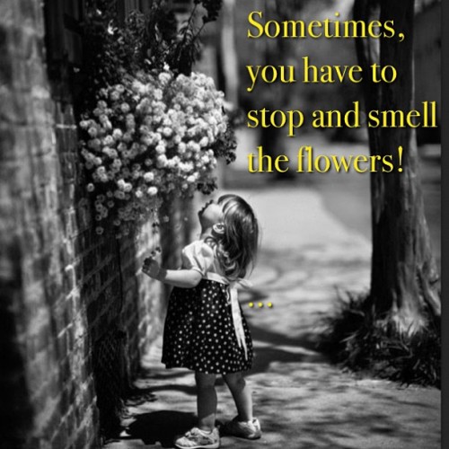 #textgram #lilthings #happiness #lifelesson