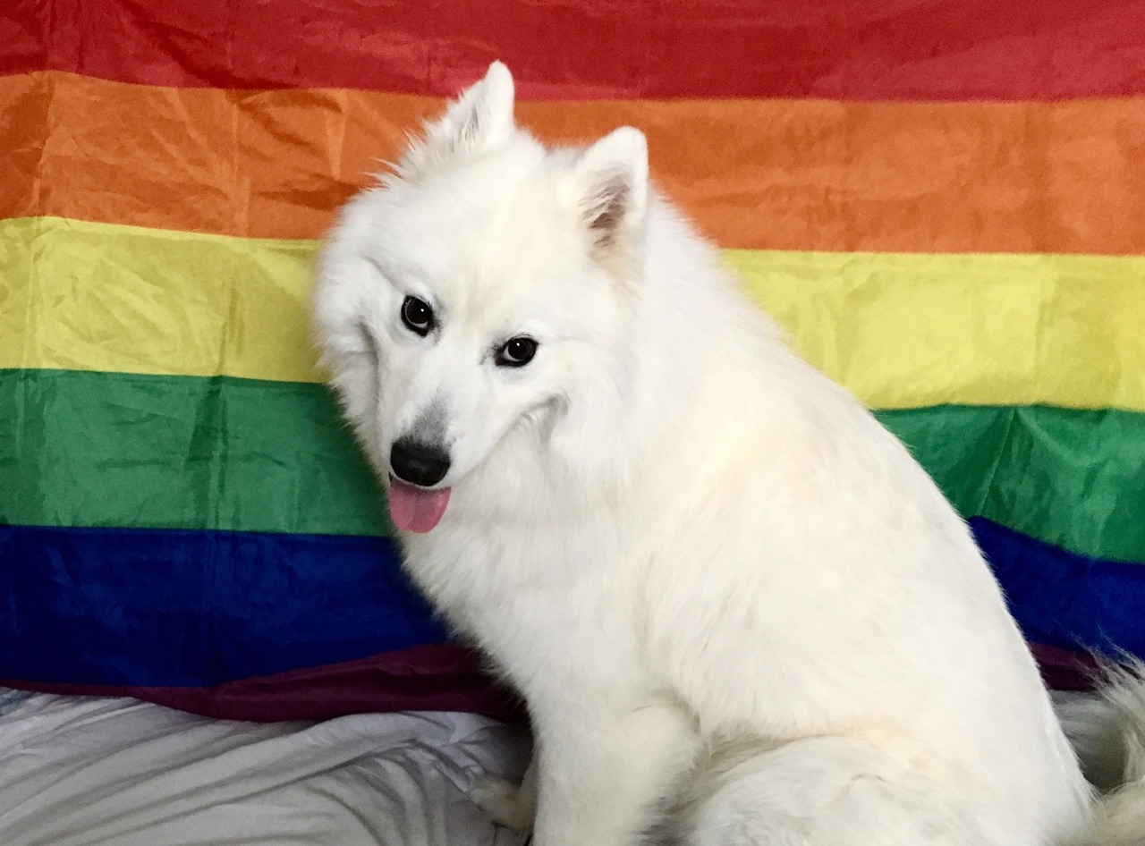 tyridot: this is what a True Ally looks like…