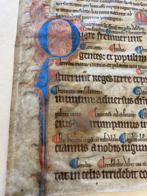 Ms. Coll. 591 Folder 4 - Psalter leafThis manuscript is a leaf from a psalter with red and blue flou