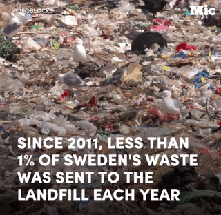 Porn the-future-now: Sweden is so good at recycling photos
